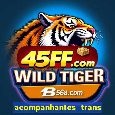 acompanhantes trans porto seguro